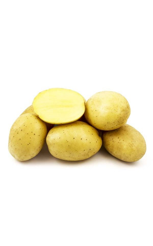 Картопля Прада 20 кг (Prada)