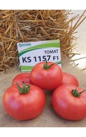 Томат KS 1157 F1  Kitano Seeds