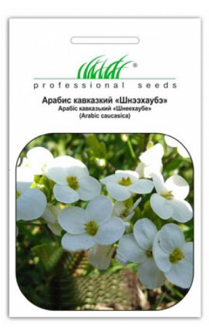 Арабис Кавказский белый Професійне насіння