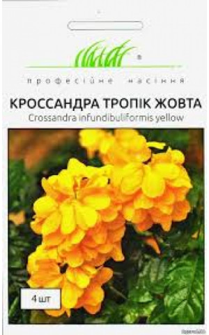 Кроссандра Тропик желтая Професійне насіння