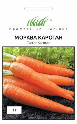 Морковь Каротан (Karotan)
