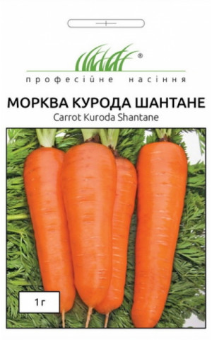 Морковь Курода Шантане 