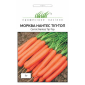 Морковь Нантес Тип-Топ Професійне насіння