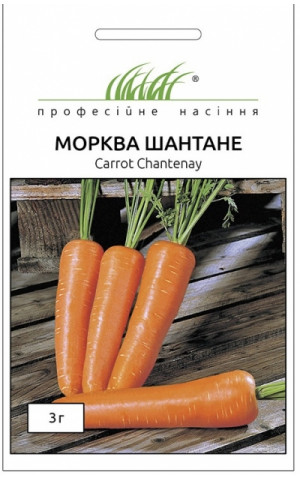 Морковь Шантане
