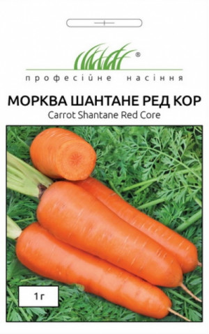 Морковь Шантане Ред Кор 