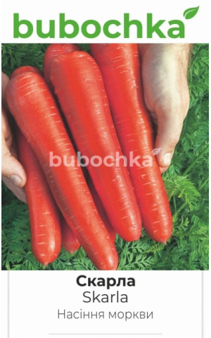 Морковь Скарла 