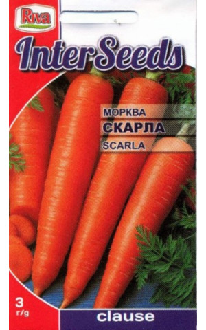 Морковь Скарла (Scarla) Riva Trade