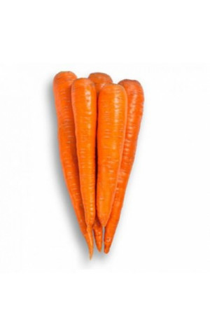 Морковь Вармия F1  Rijk Zwaan