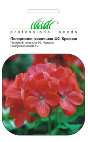 Пеларгония красная Професійне насіння