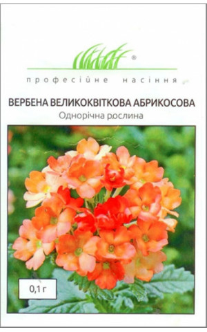 Вербена Крупноцветковая Абрикосовая