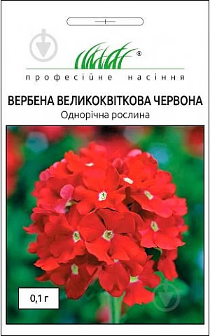 Вербена красная 