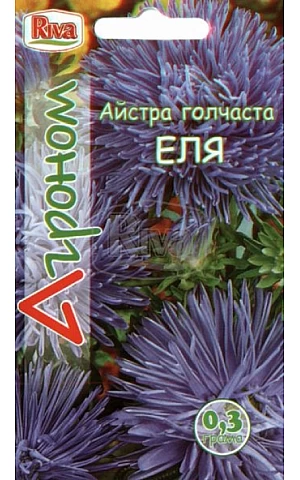 Астра игольчатая Эля Riva Trade