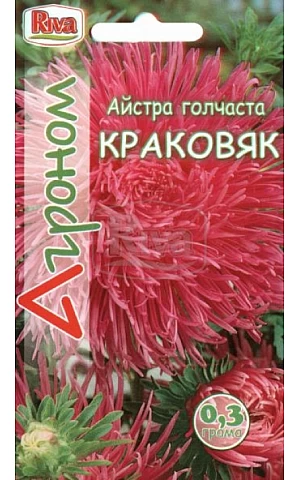 Астра игольчатая Краковяк Riva Trade