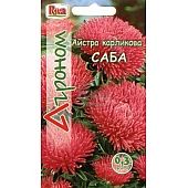 Астра карликовая Саба Riva Trade
