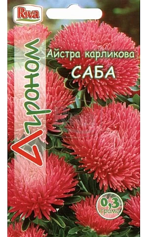 Астра карликовая Саба Riva Trade