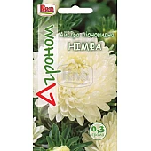 Астра пионовидная Нимфа Riva Trade