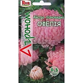 Айстра піоновидна Офелія Riva Trade