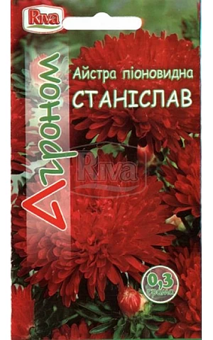 Астра пионовидная Станислав Riva Trade