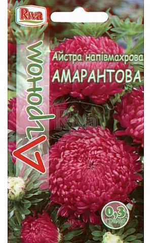 Астра полумахровая Амарантова Riva Trade