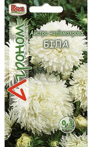 Астра полумахровая Белая Riva Trade