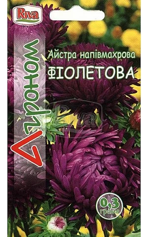 Астра полумахровая Фиолетовая Riva Trade