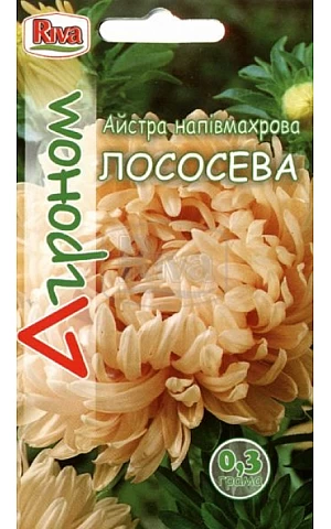 Астра полумахровая Лососевая Riva Trade