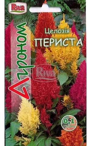 Целозия Перистая Riva Trade