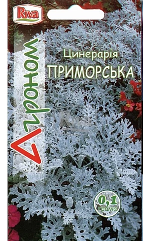 Цинерария Приморская Riva Trade