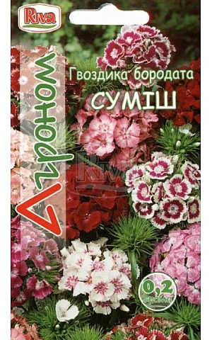 Гвоздика бородатая Смесь Riva Trade