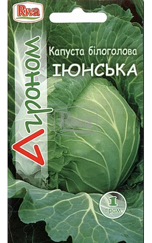 Капуста Белокочанная Июньская ТМ “Агроном”