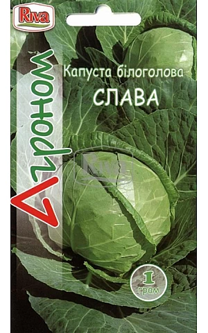 Капуста Белокочанная Слава ТМ “Агроном”