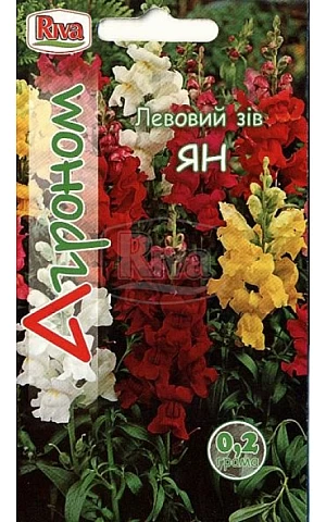 Львиный зев Ян Riva Trade