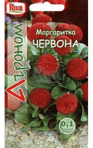 Маргаритка Червона Riva Trade