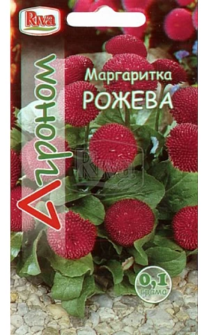 Маргаритка Рожева Riva Trade