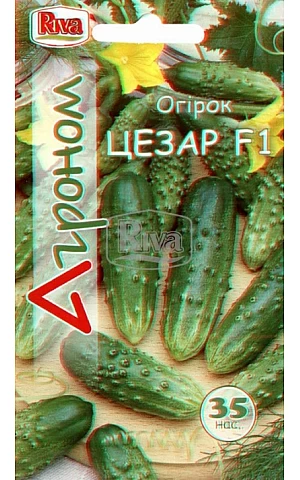 Огірок Цезар ТМ 