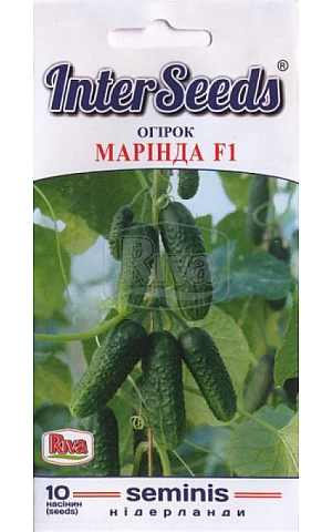 Огірок Марінда F1 (Marinda F1) Riva Trade