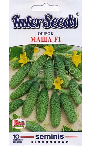 Огірок Маша F1 (Masha F1) Riva Trade