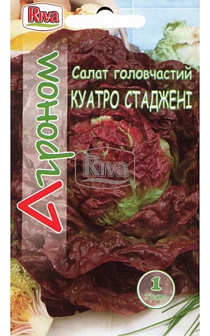 Салат Куатро Стаджени ТМ “Агроном”