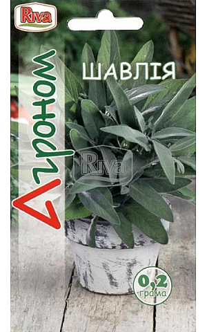 Шалфей ТМ “Агроном”