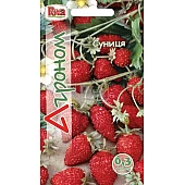 Суниця Звичайна ТМ "Агроном"