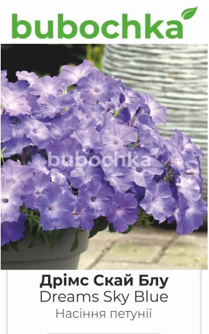 Петуния Грандифлора Dreams Sky Blue