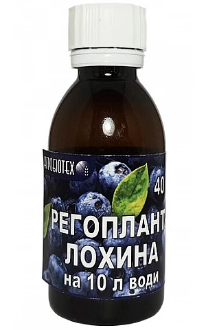 Регоплант Голубика