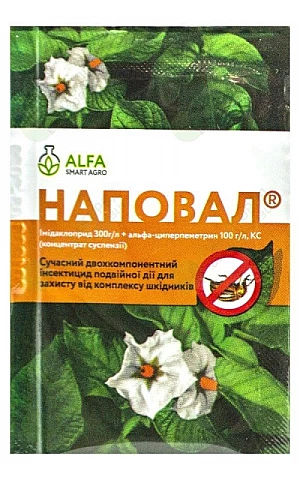 Наповал