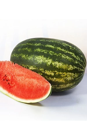 Кавун Шейні KS 163 F1  Kitano Seeds
