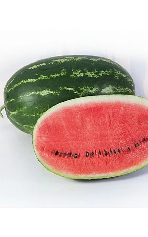 Кавун KS 632 F1  Kitano Seeds