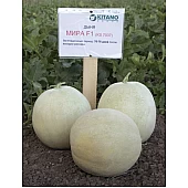 Диня Міра F1  Kitano Seeds