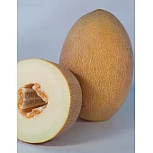 Дыня KS 6188 F1  Kitano Seeds