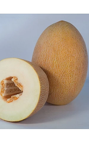 Дыня KS 6188 F1  Kitano Seeds