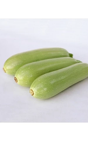 Кабачок KS 1241 F1  Kitano Seeds