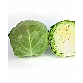Капуста Белокочанная KS 1450 F1  Kitano Seeds